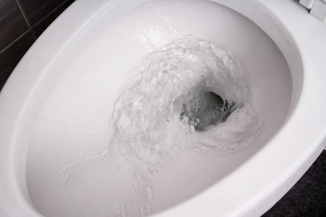 Can Toilet Seat Covers Intercept Toilet Plumes?