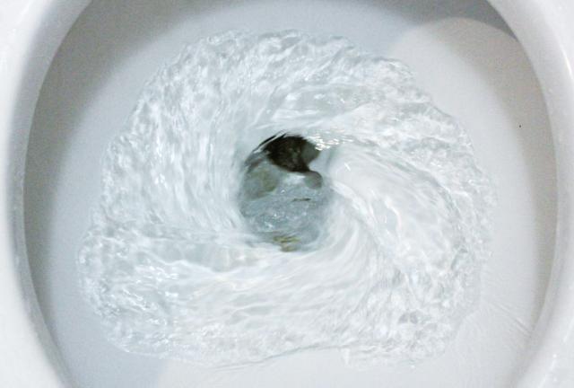 Can Toilet Seat Covers Intercept Toilet Plumes?