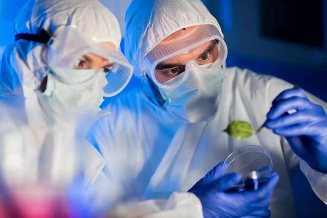Cleanroom Garments