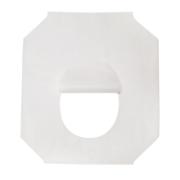 Alt_3
