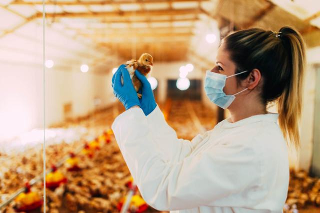Supporting Animal Health from Clinic to Farm